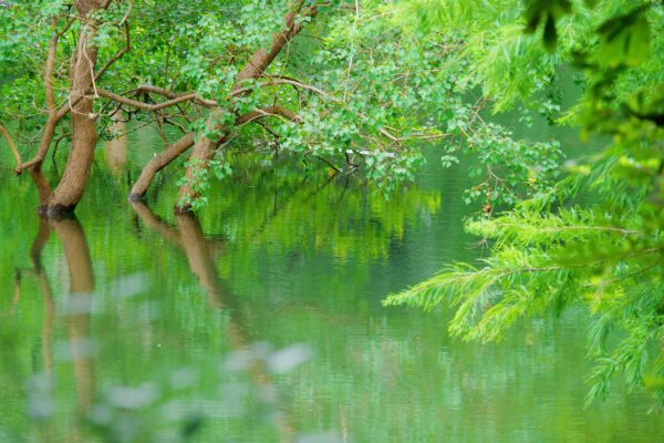水陆探秘千岛湖 | 邂逅湖光山色的两天一夜 - 图片 7