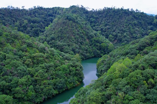 水陆探秘千岛湖 | 邂逅湖光山色的两天一夜 - 图片 10