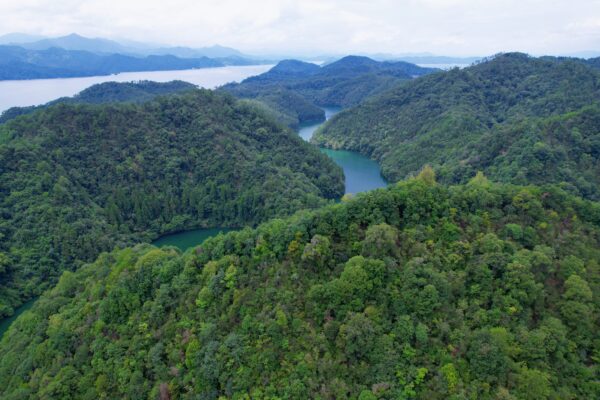 水陆探秘千岛湖 | 邂逅湖光山色的两天一夜 - 图片 11