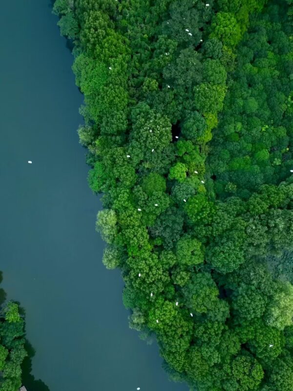 良渚野芦湾｜桨板上的流水与冥想｜秋日心灵之旅 - 图片 6