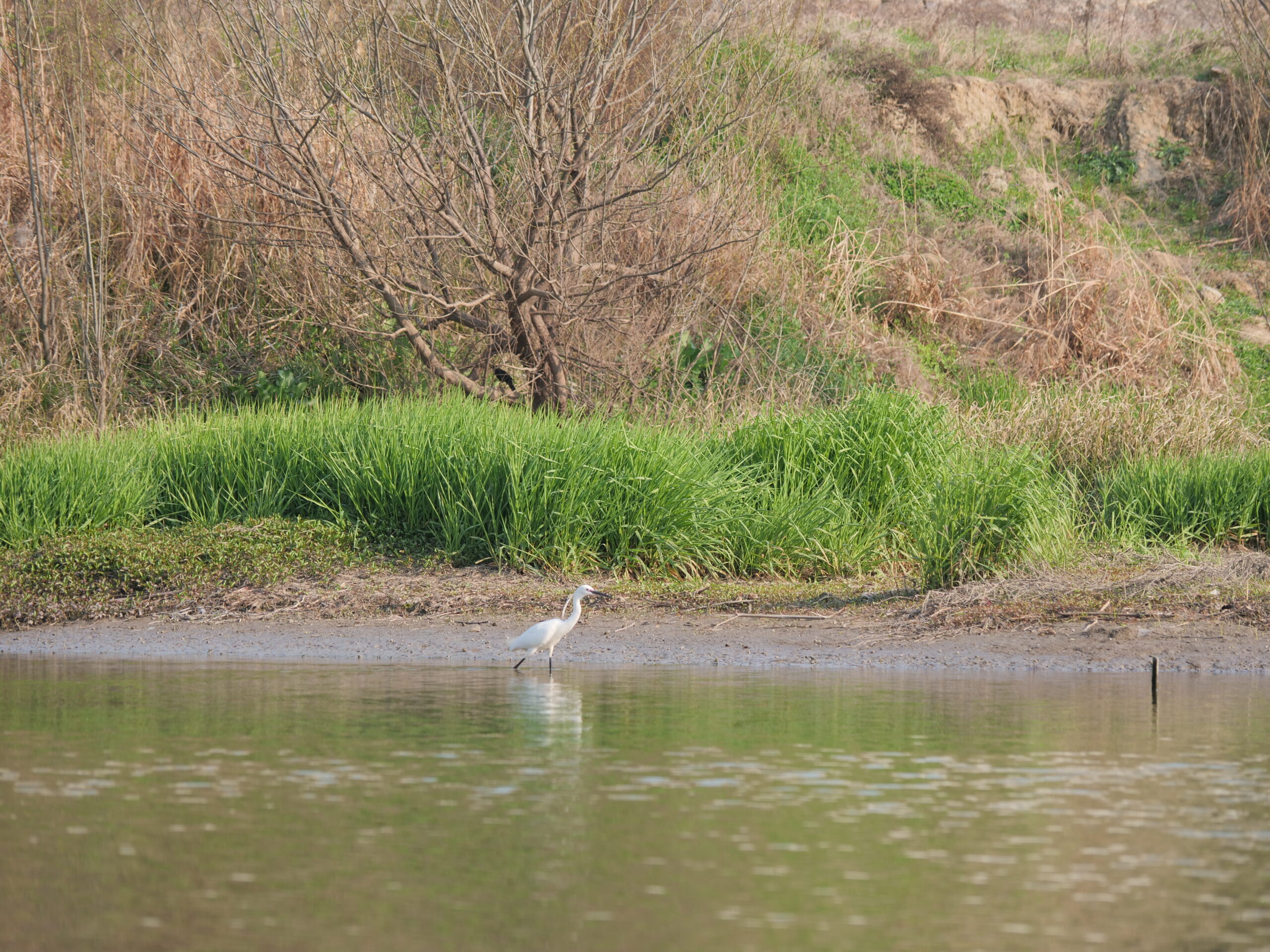 4月25日 东苕溪野趣|寻味之旅 - 图片 3
