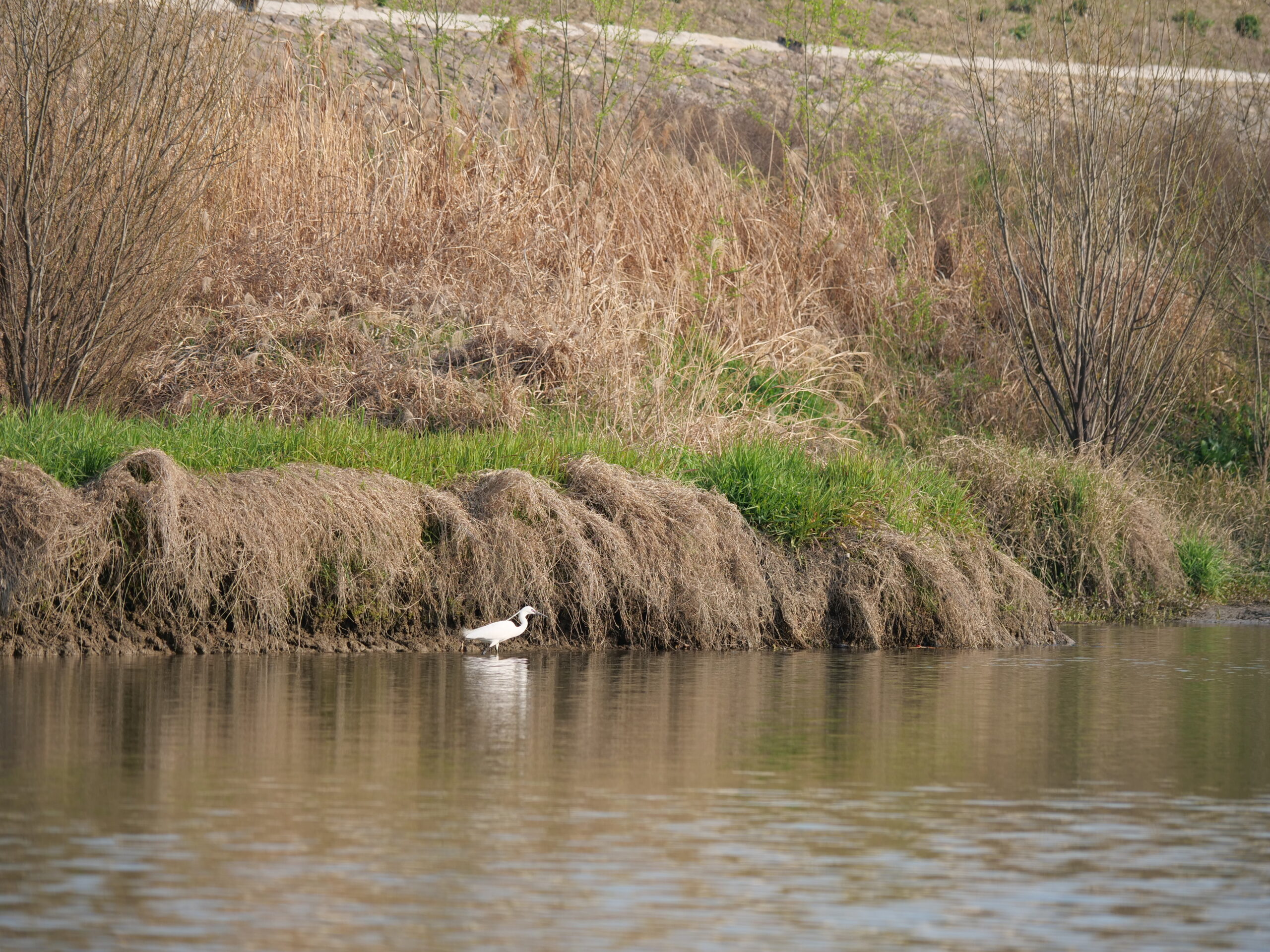 4月25日 东苕溪野趣|寻味之旅 - 图片 11