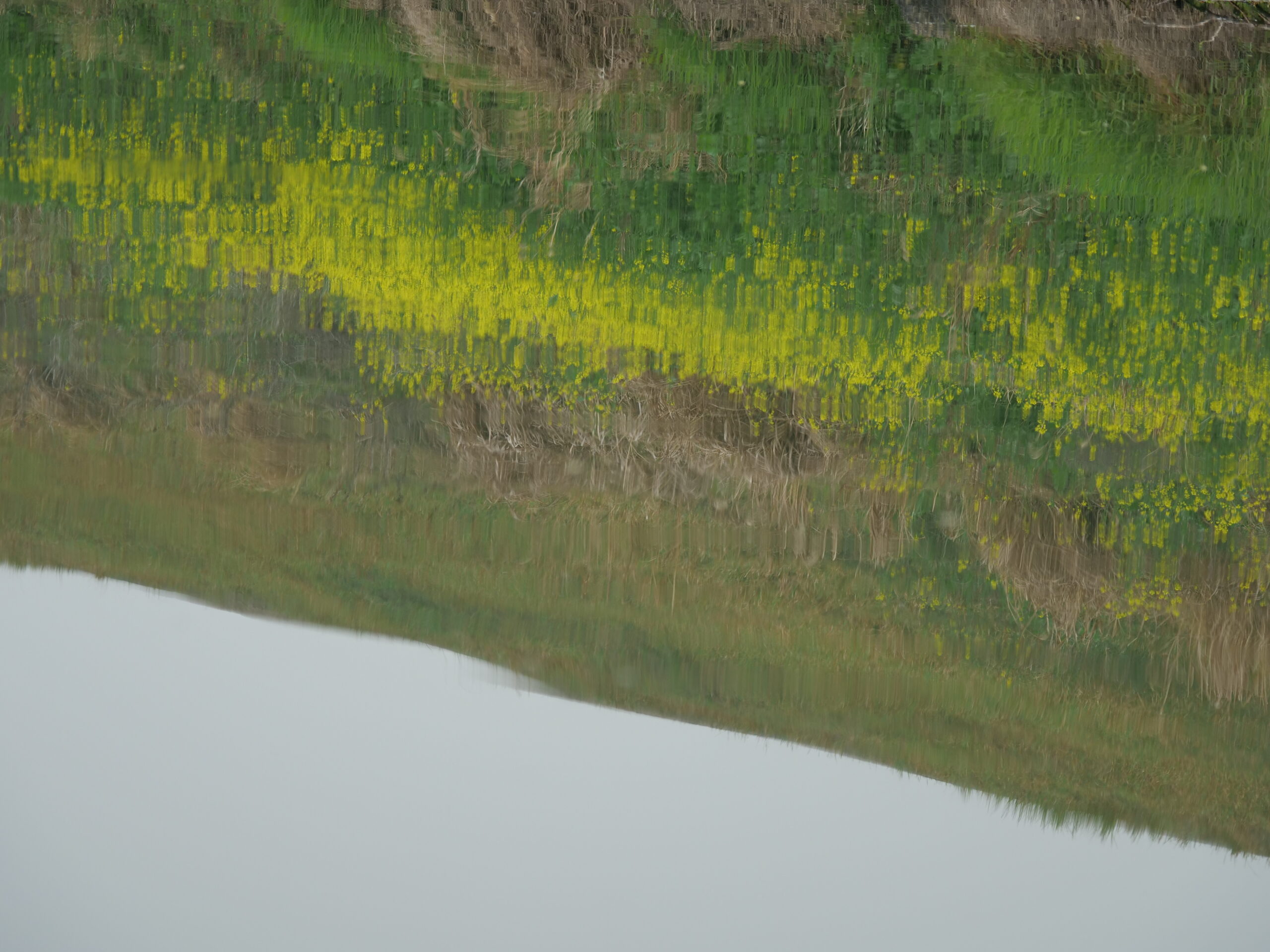 4月25日 东苕溪野趣|寻味之旅 - 图片 9