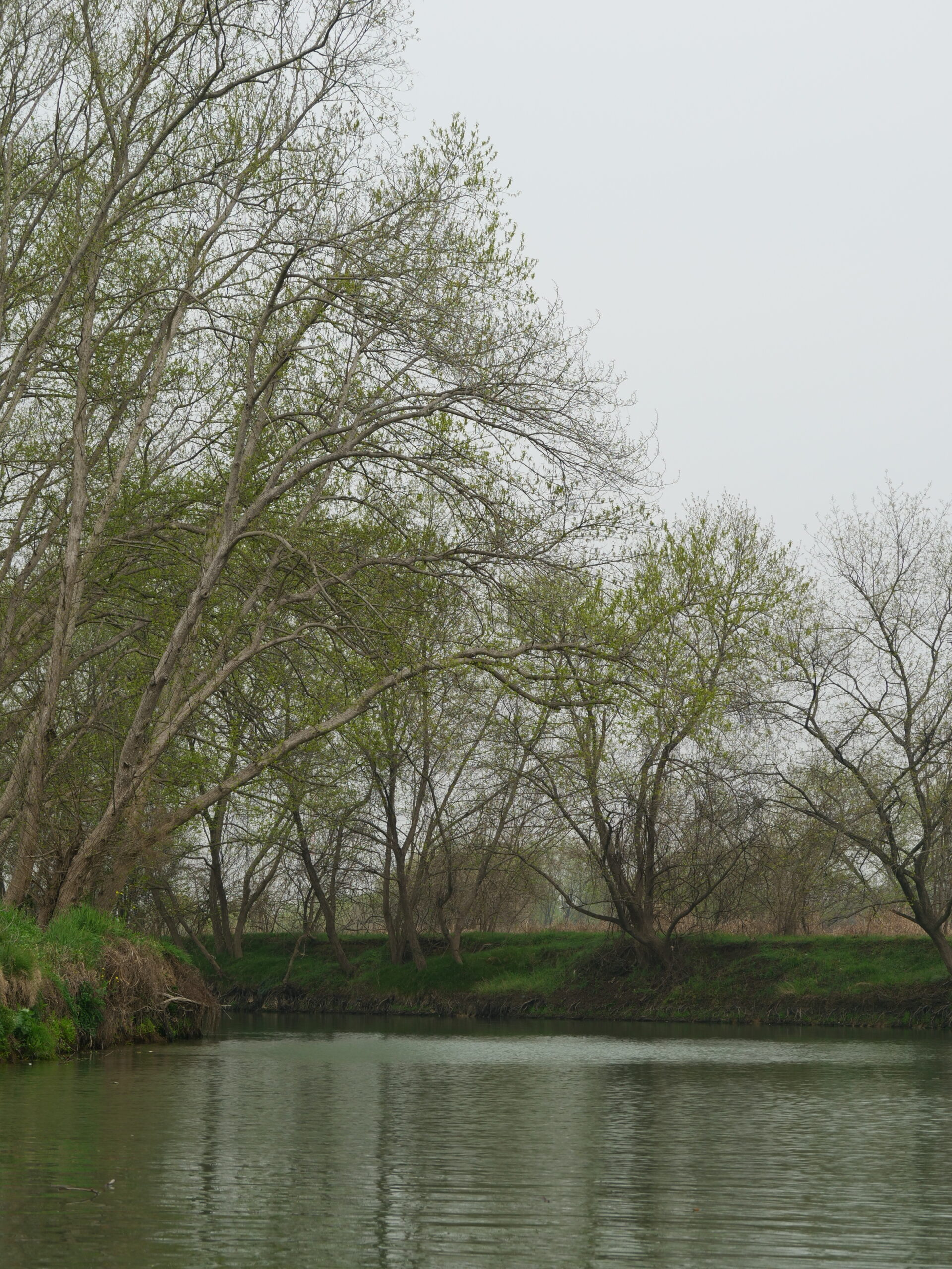 4月25日 东苕溪野趣|寻味之旅 - 图片 6