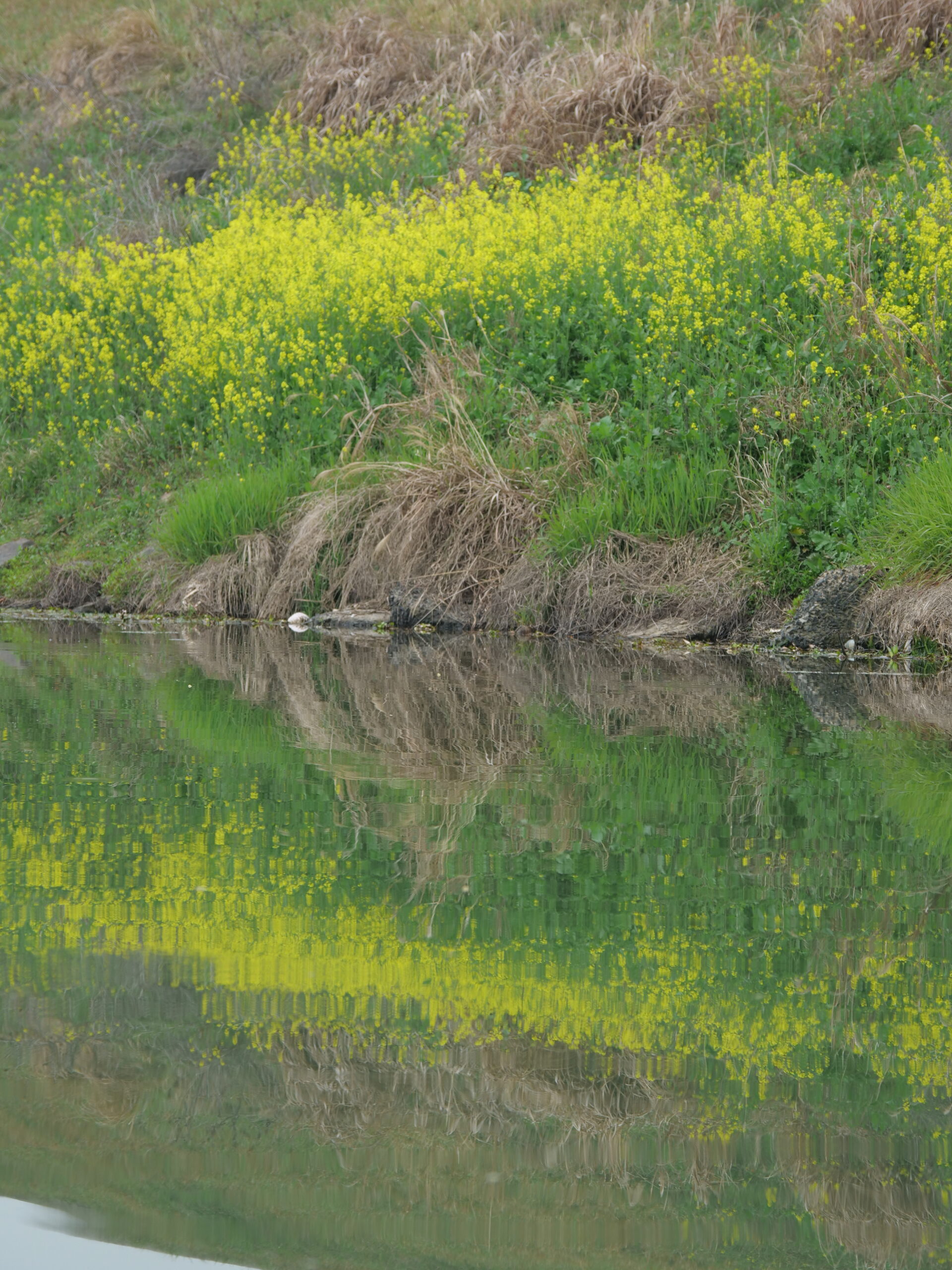 4月25日 东苕溪野趣|寻味之旅 - 图片 5
