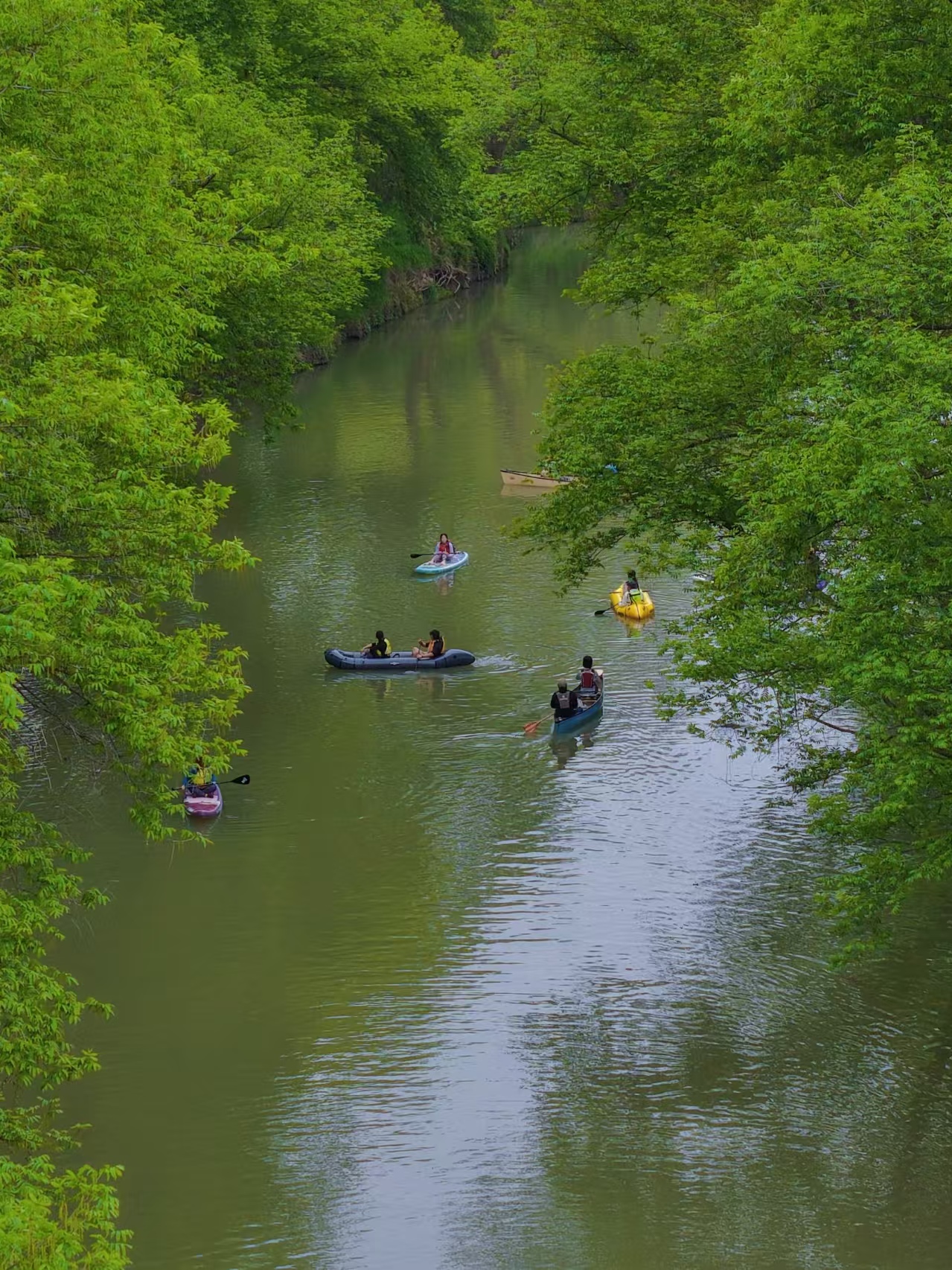 4月18日 北苕溪漫划|赴一场与河畔烟火的约会