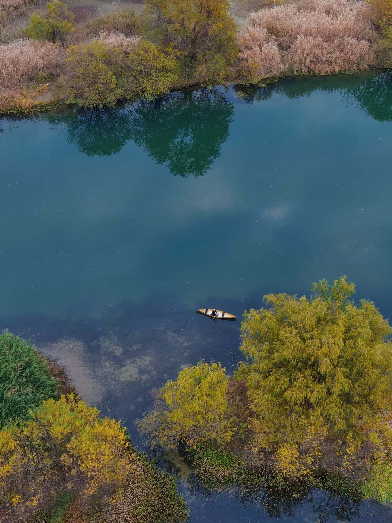 4月25日 东苕溪野趣|寻味之旅